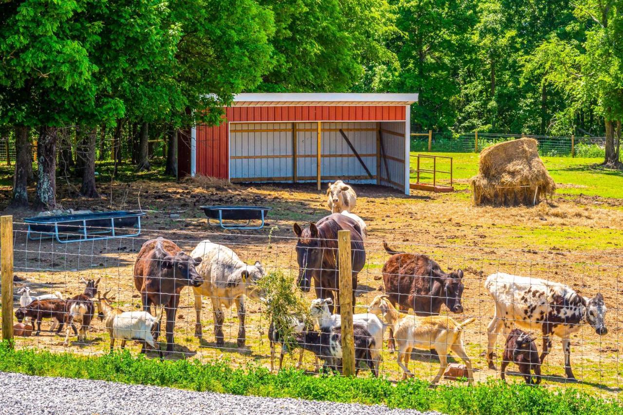 Almost Heaven Farmers Paradise On 50 Acres! Brownsville Exterior foto